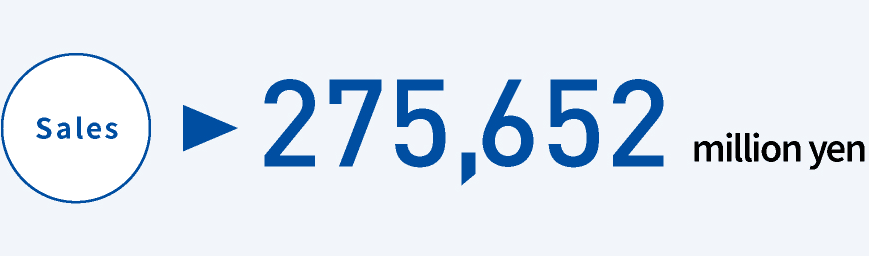 Sales: 248,123 million yen